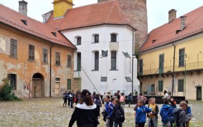 DVORCI, TAJNE I UZBUĐENJA – NEZABORAVNA TERENSKA NASTAVA KROZ SLAVONIJU!